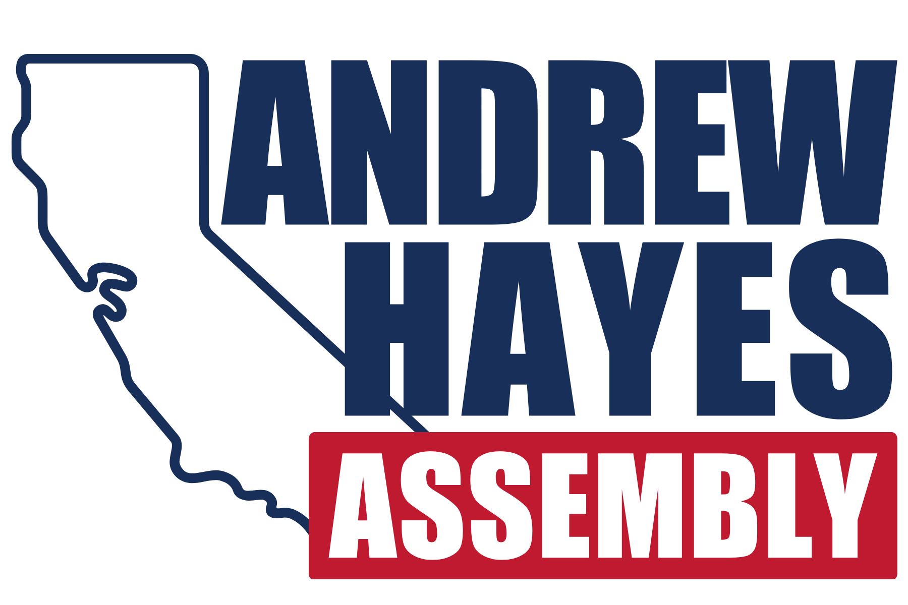 Andrew Hayes for Assembly 2024