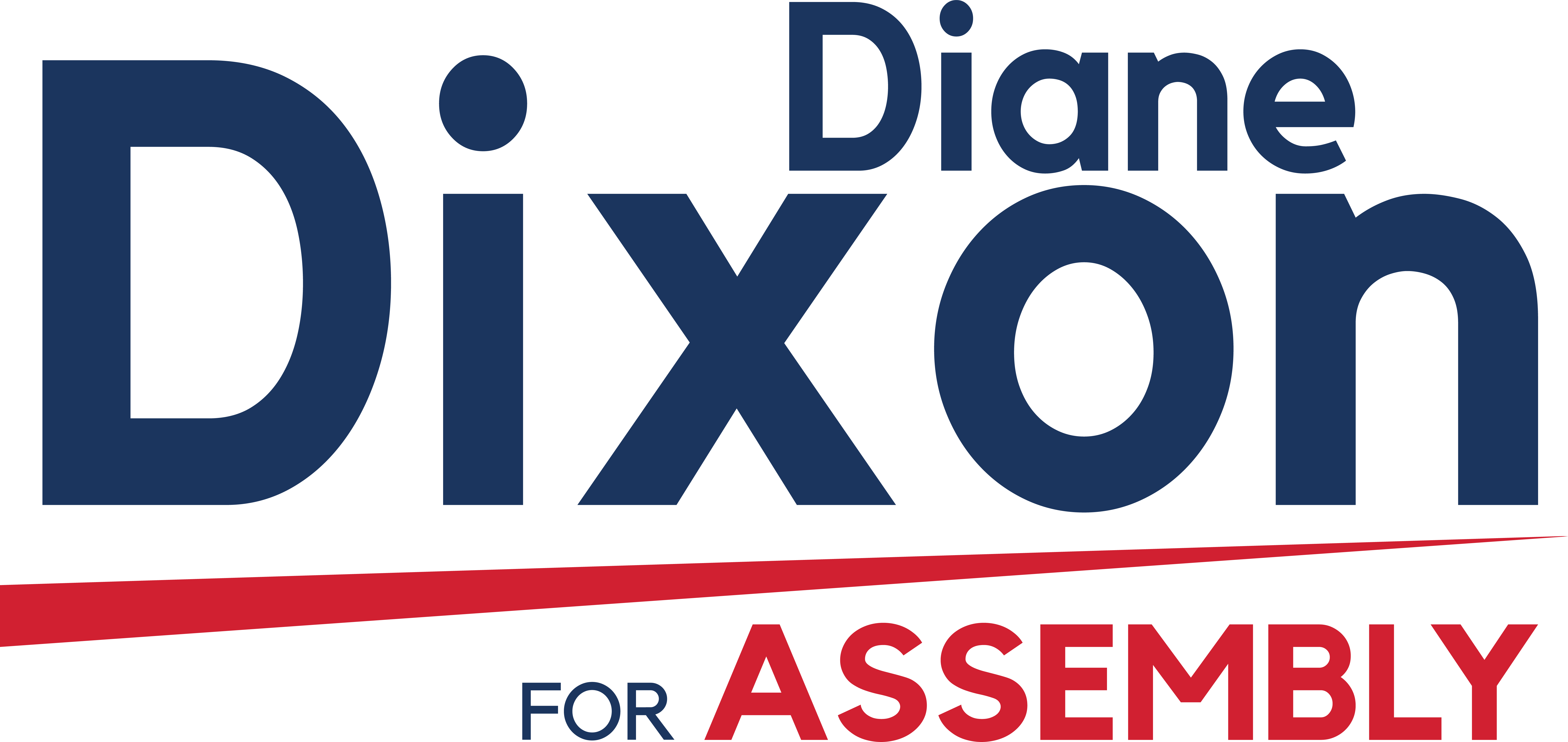 Diane Dixon for Assembly 2022