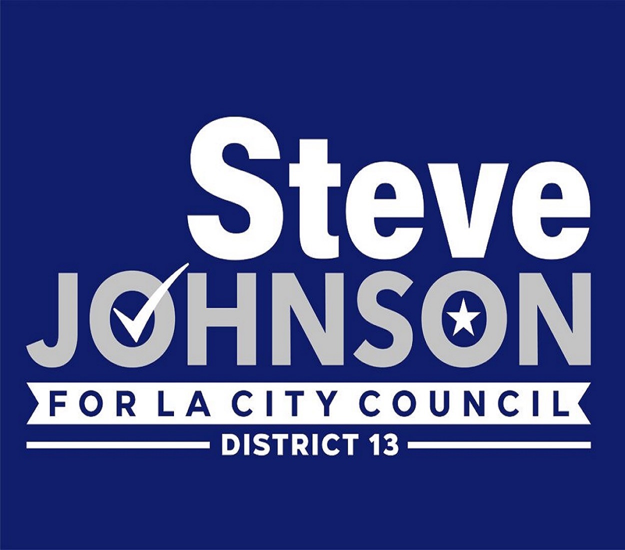 Steve Johnson for LA City Council 2022